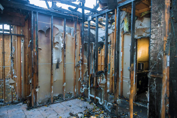 Professional Fire Damage Removal technician working in Palmyra, PA