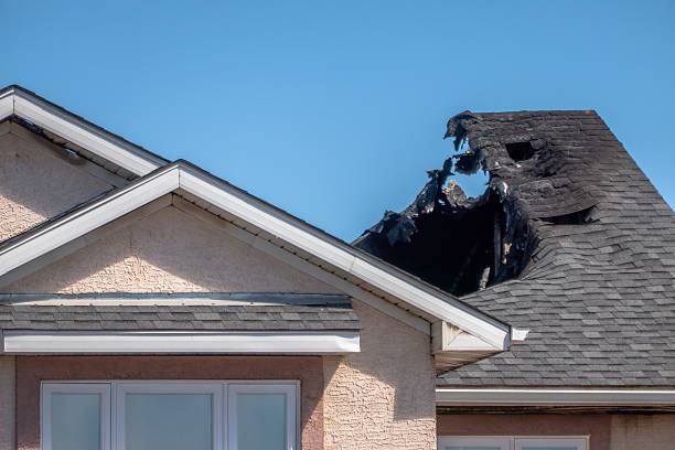 Top rated local Fire Damage Removal specialists in Palmyra, PA